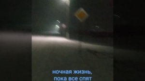 ночная прогулка