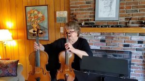 Music Ministry Message: 11/4/2020: The Violin & Viola with Karen Vincent