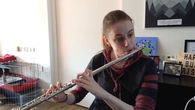 Quarantine Living Room Concert: Russisches Zigeundlied (from ‘Vortrag-Stücke op. 462) - W. Popp смотреть онлайн