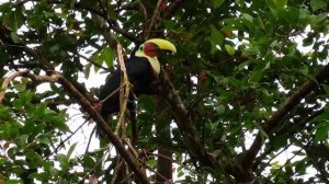 Наша Земля  Наши океаны