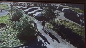 Шарпей покусал ребенка -  хозяйка прошла мимо