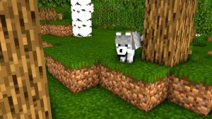 TRANSFORMERS ROBOT INVASION | Wolf Life Episode 3
