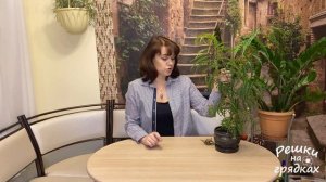 Полисциас Уход в домашних условиях