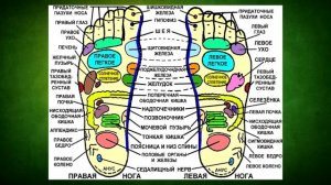 Положите лук в носки на ночь и уже утром почувствуете себя здоровее