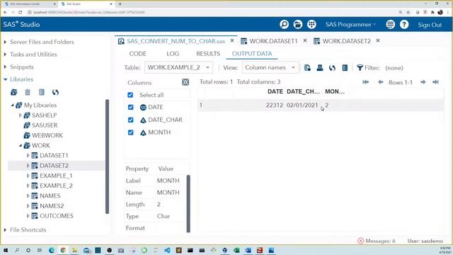 Converting Numeric to Character in SAS | Data Tutorial | PUT Function