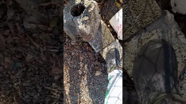 25 ноября 2021 г. смотреть онлайн