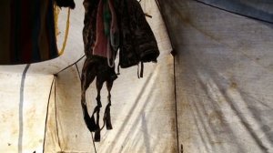 Так реально живут оленеводы в глухой якутской тайге. Показываю быт и устройство внутри палатки