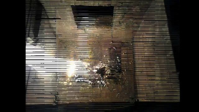 Индивидуальная кремация кошки смотреть онлайн