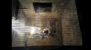 Индивидуальная кремация кошки