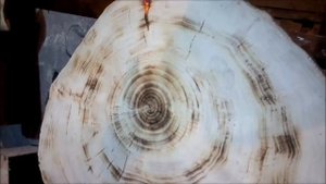 обжиг дерева