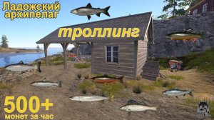 Русская рыбалка 4 / Ладожский архипелаг / Троллинг, разнорыбица, 500+ за час