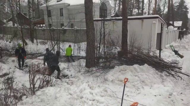 Расчистка участка зимой от лучшей команды Москвы.