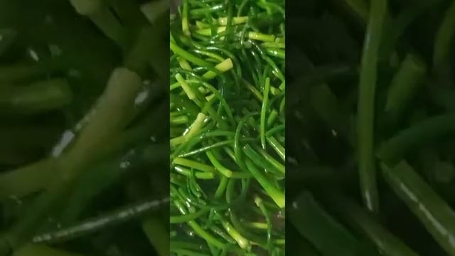 Чесночные стрелки. Жареные стрелки чеснока.