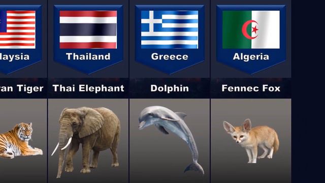 National Animals From Different Countries - Comparison Result смотреть онлайн