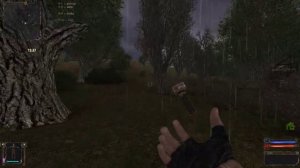 Stalker "Золотой шар или приключения Жекана завершение"  квест Раз плюнуть.