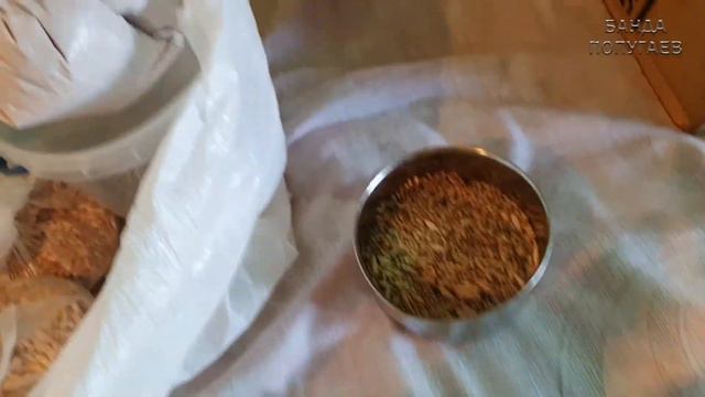Что я взяла на море для попугая