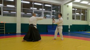 1¦ Reiseinin ryu Aikijutsu 2019 | Jo jutsu | Bo jutsu | 1-7 kata