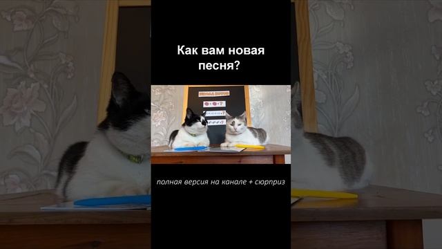 Гимн Школы Котов - 2 часть!