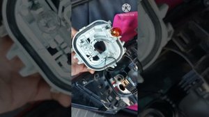 Шкода Карок. Насекомые в задних фонарях