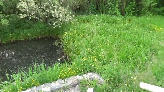 белгород путешествия / путешествия по россии родник гремучий в прохоровском районе смотреть онлайн