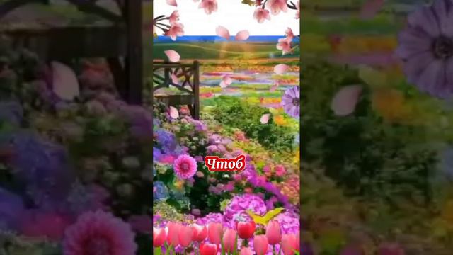 С добрым утром! #доброгоутра #сдобрымутром #длятебя #доброеутро#пожелание #пожеланиедоброгоутра смотреть онлайн