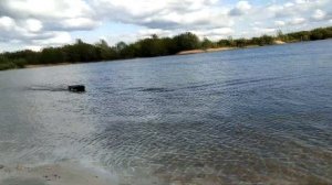 Прикормочный кораблик (Хаски) by: Fishing boats 31 RUS Часть 2