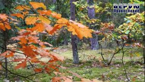 ✞ Когда Христос станет для тебя ВСЕМ - Архимандрит Андреас (Конанос)