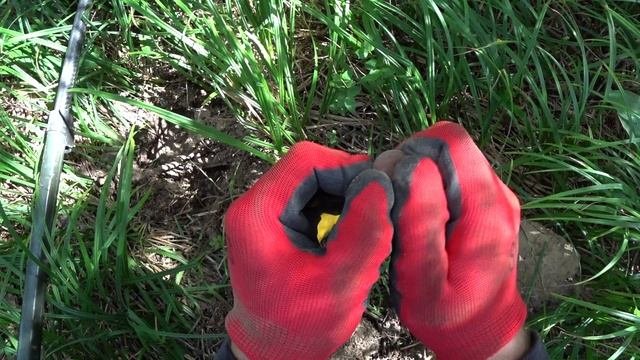 Находки не перестают удивлять. Продолжаем пробивать старую дорогу.