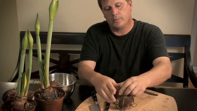 Back to Nature gifts from Brookstone смотреть онлайн