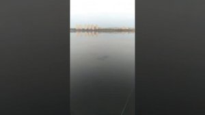 Весенняя рыбалка на Воронежском водохранилище.