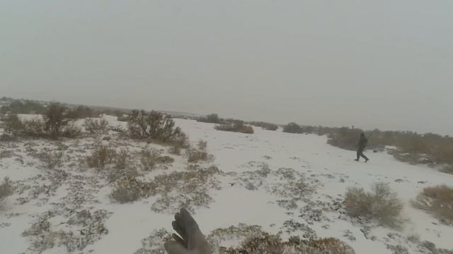 ОХОТА НА ЗАЙЦА В МЕТЕЛЬ. ЗАКРЫТИЕ СЕЗОНА 2021-2022г. О/Х Манул. смотреть онлайн