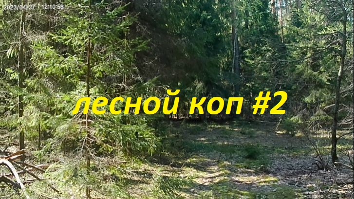 Лесной коп