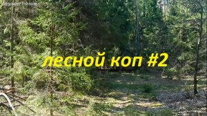 Лесной коп