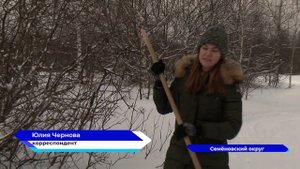 Зимний учет диких животных стартовал в Нижегородской области