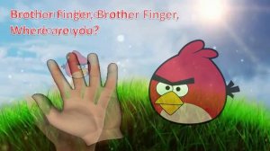 ANGRY BIRDS Finger Family Nursery Rhyme for Kids