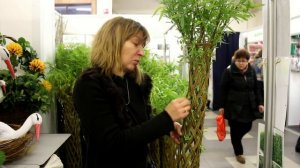 Живая плетёная ива в вашем саду