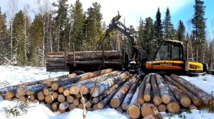 Работа Форвардера Ponsse Buffalo в лесу разгрузка сортиментов Ponsse Buffalo Forwarder