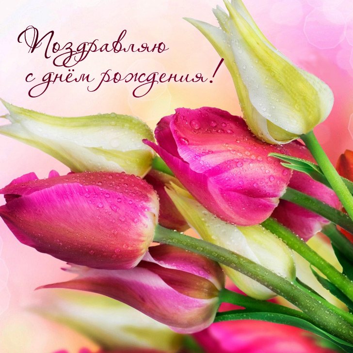 Поздравление С Днём Рождения Женщине! Новинка! Шикарное Поздравление