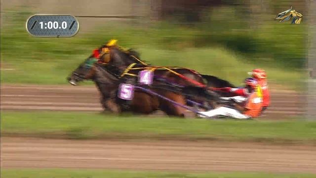 9-й Заезд. Раменский ипподром 30 июля 2023 смотреть онлайн