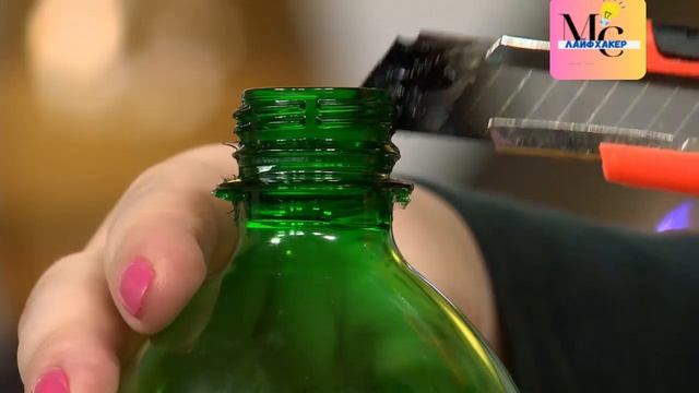 Стакан для очистки манго, футляр туриста из бутылки и уксусная реставрация мебели смотреть онлайн