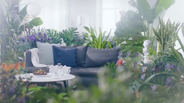 XIAOMI deerma смотреть онлайн