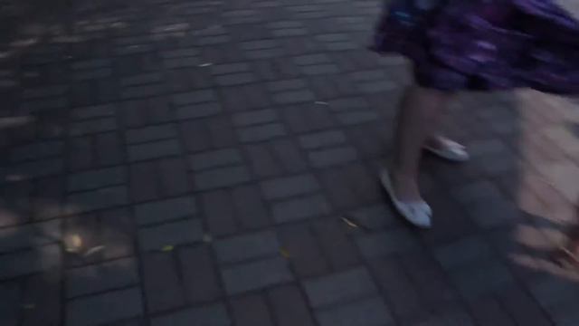 ЛЕНИНГРАДСКИЙ ЗООПАРК, Санкт-Петербург-VLOG №2 смотреть онлайн