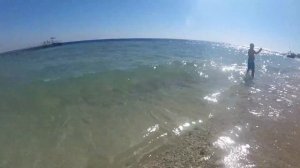 Египет-2017/ Пляж от отеля Sharming Inn Hotel 4*