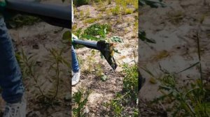 Аренда корнеудалителя FISKARS