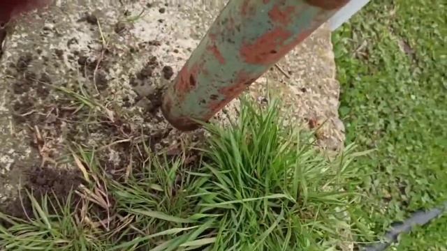 Весенние работы в саду и огороде/главное начать смотреть онлайн