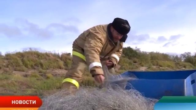 Ненецкие рыбаки продолжают ловить семгу без лицензий смотреть онлайн