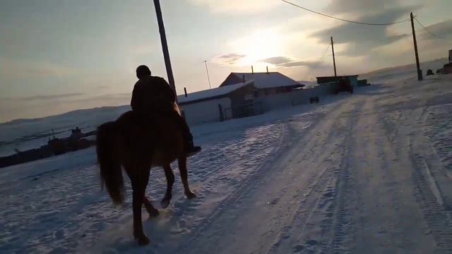 Как ездить без седла на лошади смотреть онлайн