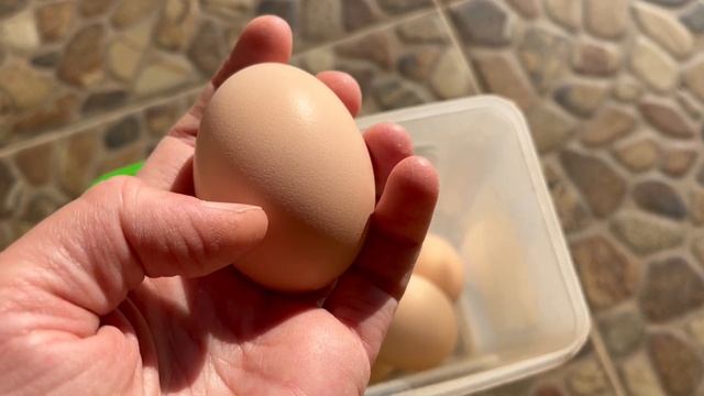 Одели платья и на рынок/Цены в июле на овощи, фрукты/ Перекись чудесная/ Выкапываем чеснок смотреть онлайн