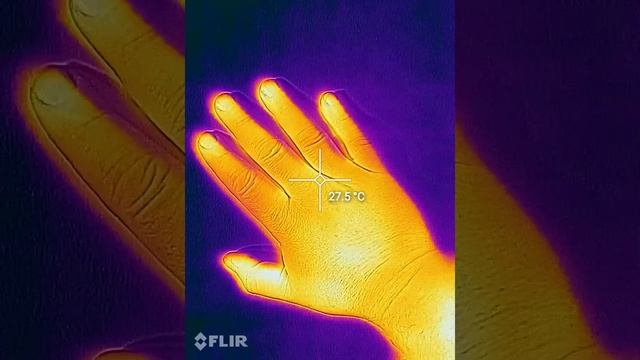 Thermal: Hand on wall