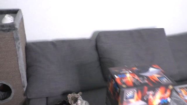 SGI BIGCHEF Grill 7in1 vs Tefal Snack Collection SW852D. Multigrill Test смотреть онлайн